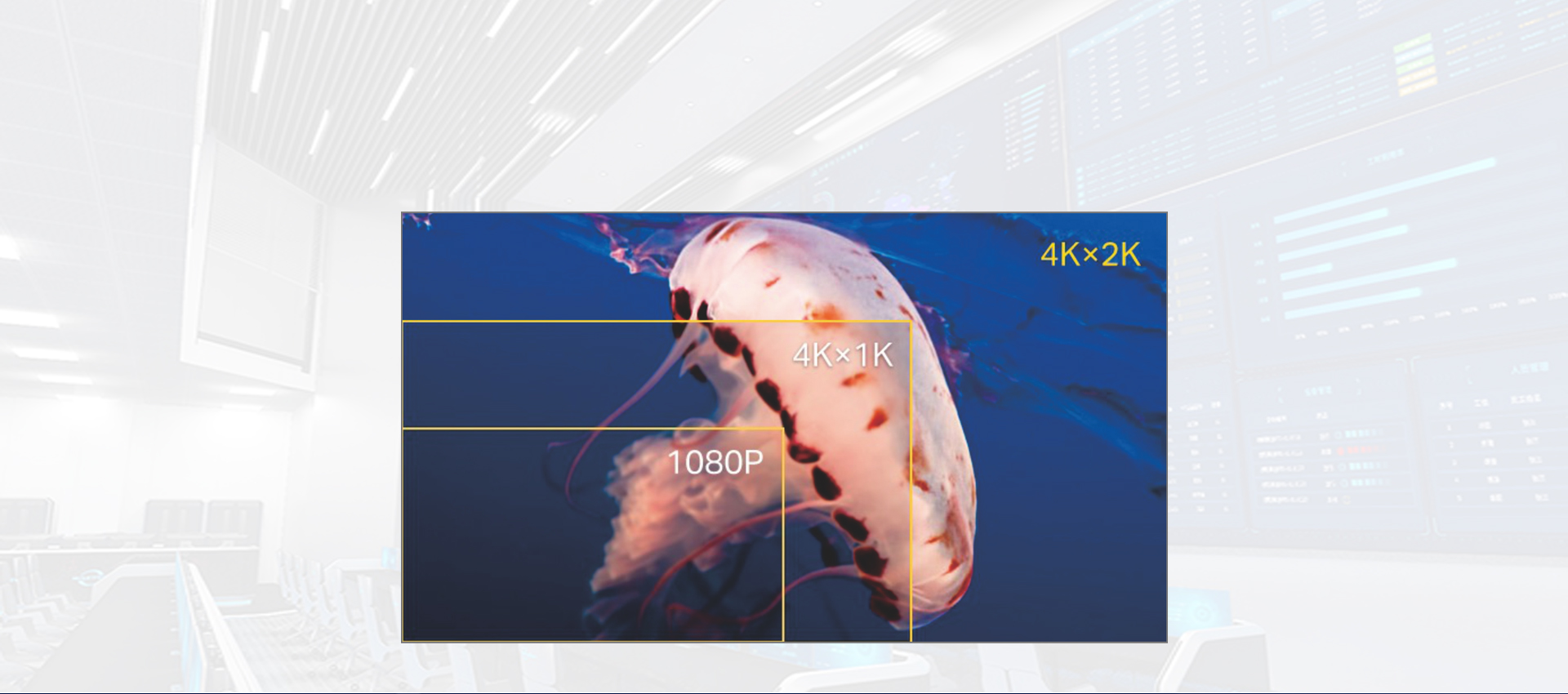 真4K60 4:4:4视频处理能力